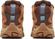 MOAB 3 MID GTX W umber