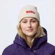 Vardag Beanie Black