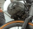 CARGO ELASTIC CORD