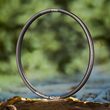 Grappler Race Carbon Rim | Enduro | 29" x 30mm | 32h | Black
