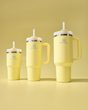 Quencher/Cup H2.O FlowState™ Tumbler 600 ml Pomelo