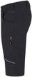 FOBOS Shorts black