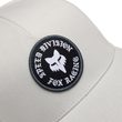 Badge Flexfit Hat Light Grey