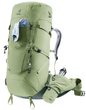 Aircontact Core 55+10 SL grove-ivy