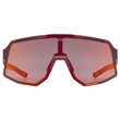 SEQUENZE CV BURGUNDY MATT / MIR.RED 2026