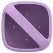 POP, Wild Violet