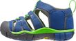 Seacamp II CNX INF true blue/jasmine green