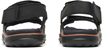 COVE LTR BACKSTRAP M black