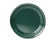 10" PLATE- GREEN