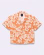 AMSTONE SS TOP GR Autumn Leaf