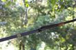 Tree friendly Extender