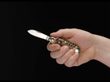 Camp Knife Stag