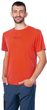 BINE spicy orange