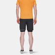 Aenergy TR 2 in 1 Shorts Men black