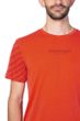 BINE spicy orange
