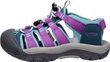 NEWPORT BOUNDLESS CHILDREN, legion blue/willowherb