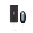 PowerBank & HandWarmer - silver
