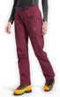 Alpine Guide GTX Performance Pants W Redwood