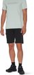 Ducan Shorts Men strata