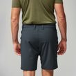 Abisko Trail Stretch Shorts M Suede Brown