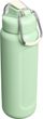 Wellspring Bottle 700 ml Pistachio