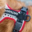 Dog Harness - Reflective, black