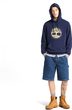 Tree Logo Lake House Graphic Hoodie  Peacoat