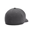 Men's Team Blitzing, Graphite / Black