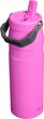 IceFlow™ Bottle Flip Straw 700 ml Hot Pink