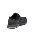 Banks Low GTX Asphalt/Black