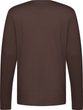 POC L/S Tee Bronzite Brown