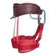 MOMENTUM HARNESS - KIDS' Wild Rose