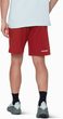 Sender Climbing Shorts Men dark mammut red