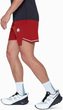 Aenergy TR Shorts Men dark mammut red-mammut red