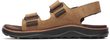 COVE LTR BACKSTRAP M coffee