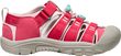 NEWPORT H2 YOUTH, raspberry/pink-a-boo