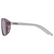COSMIC CRANBERRY - GREY MATT / MIR.SILVER 2026