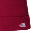 NORM BEANIE, BEETROOT
