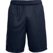 UA TECH GRAPHIC SHORT, Blue/grey