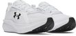 Assert 11-WHT