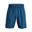 UA Woven Graphic Shorts, Blue