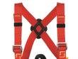 Bambino Harness