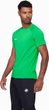 Ducan FL T-Shirt Men pinea