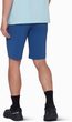 Runbold IV Shorts Men tschiel