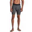 UA HG Armour Shorts, Gray