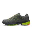 Tahoe LTH GTX MM, graphite/green lime