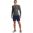 UA HG Armour Comp LS, Gray