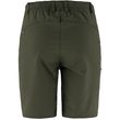 Abisko Trail Stretch Shorts W Deep Forest