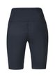 LIS, anthracite