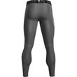 UA HG Armour Leggings, Gray